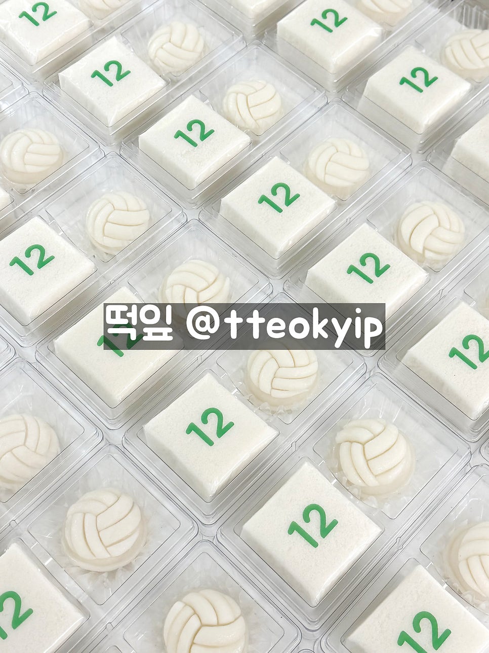 떡잎 사진 3