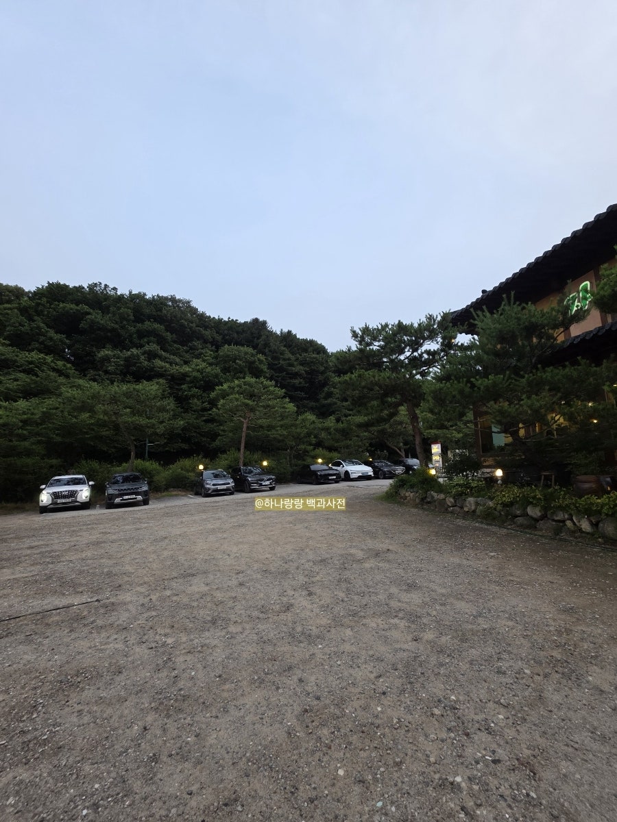 자연콩 사진 4