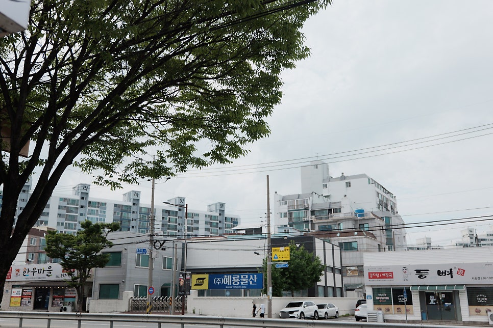 서동통돼지 사진 5