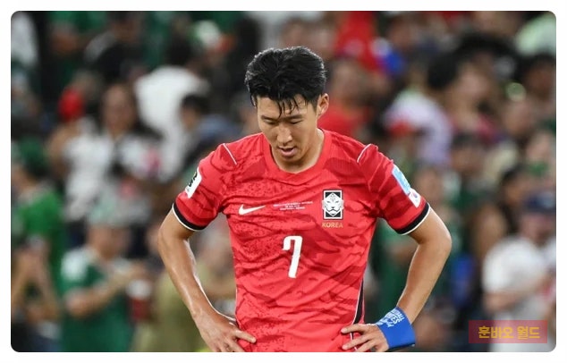 손흥민·황희찬 국회 청문회 참고인 논란, 결국 철회된 이유는