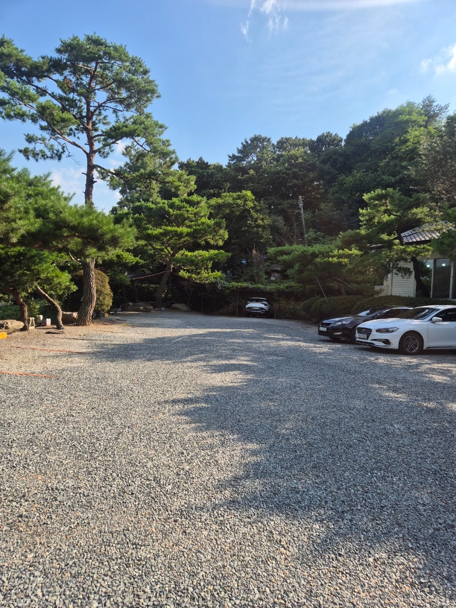 양달 사진 4