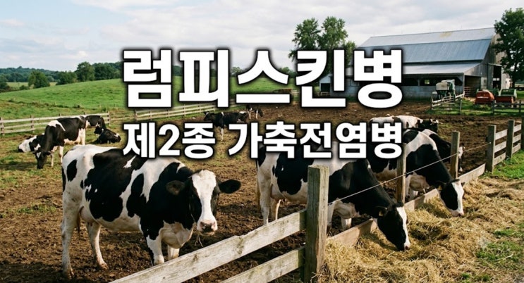 <b>럼피스킨</b>병은 무엇인가? <b>순창</b>에서 첫 <b>발생</b>