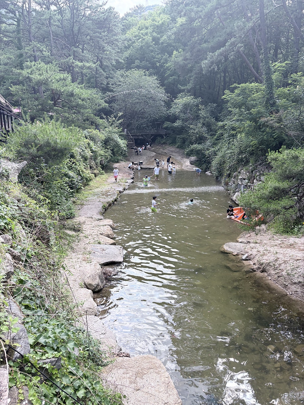 달리온 사진 3