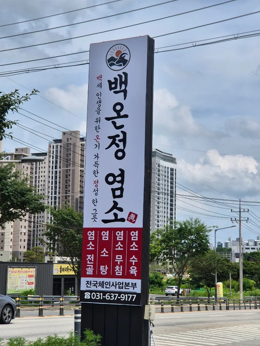 백온정염소 사진 2
