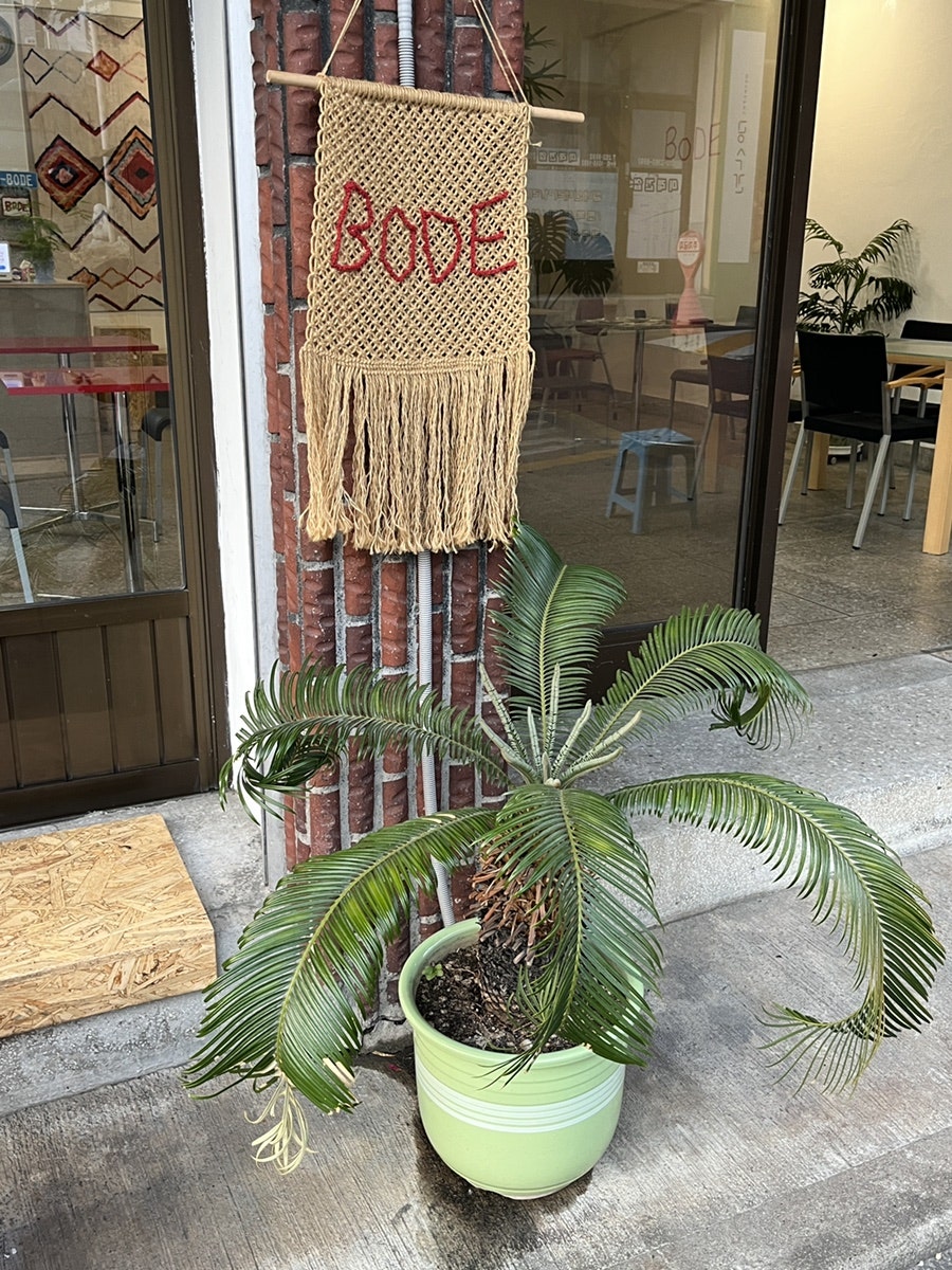 보디 사진 3