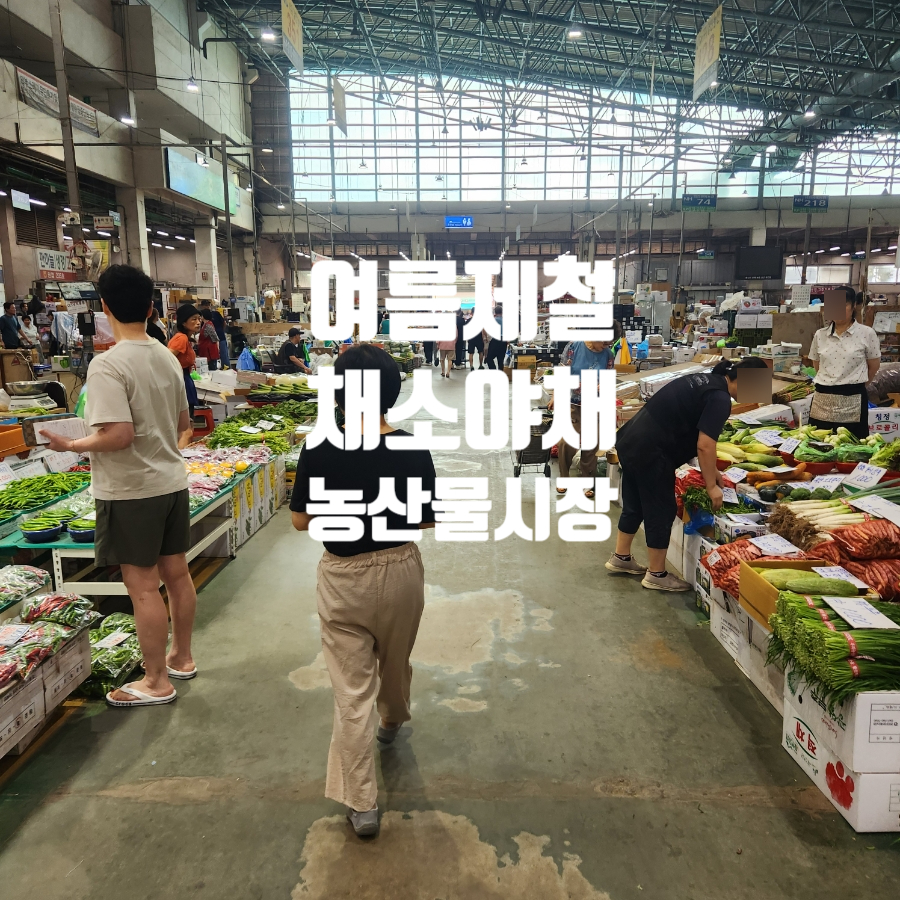 우리집 사진 1