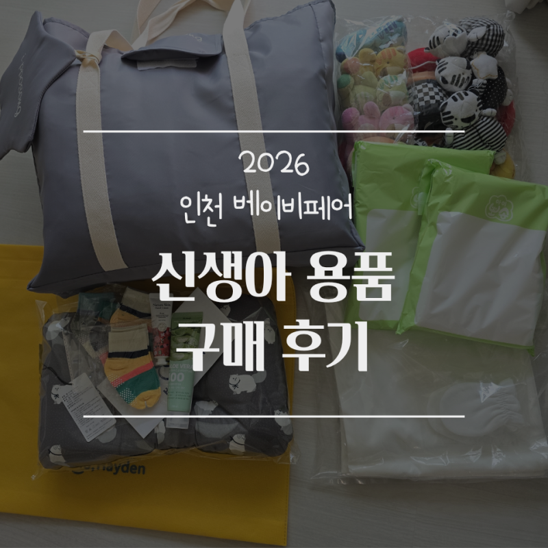 인천 베이비페어 송도 방문 아이뽀송과 성장앨범 구매후기