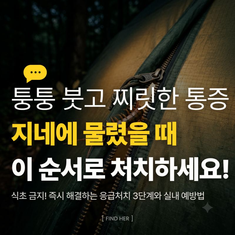 지네에 물렸을 때, 부기 통증 심한데 병원 가야 할까? 즉시 해결하는 응급처치 3단계와 예방....