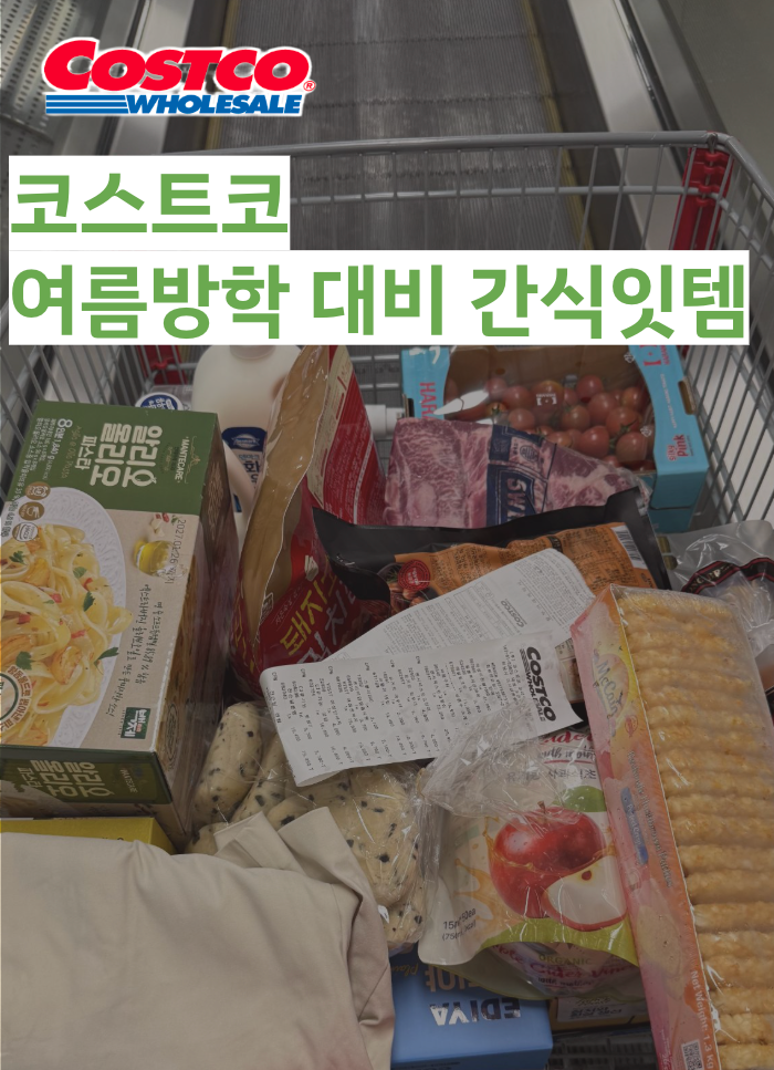 코스트코 방학 간식 추천 4종 | 이디야 요거트파우더·크룽지 솔직후기