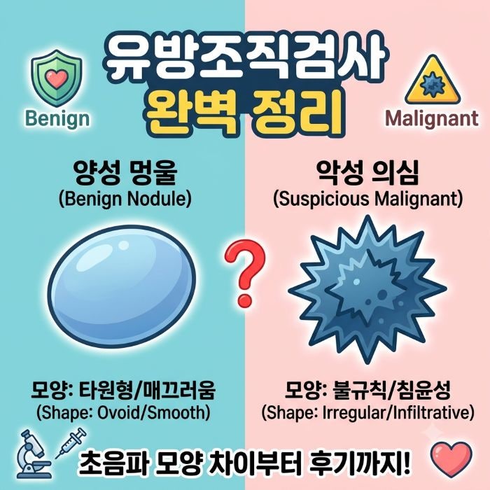 유방 초음파 양성 악성 모양 차이, 조직검사 통증, 비용, 실비 조건