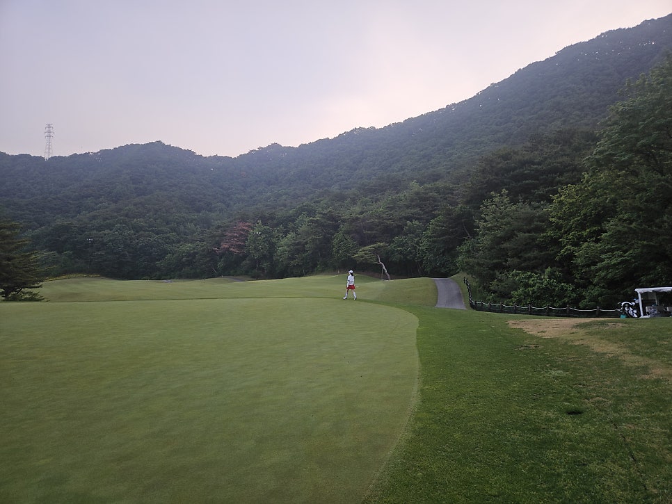 플레이모두 사진 2