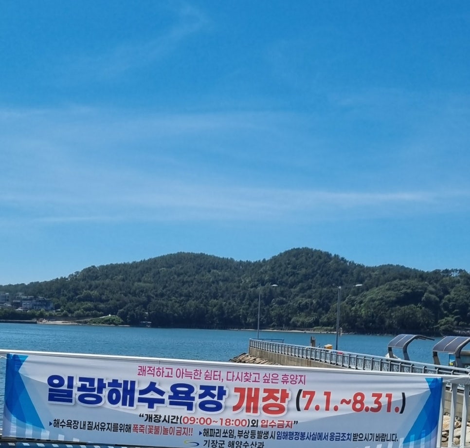 해강장어 사진 1