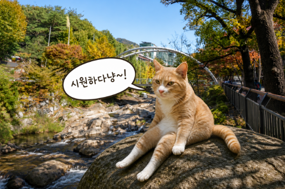 박대운숯불갈비 사진 2
