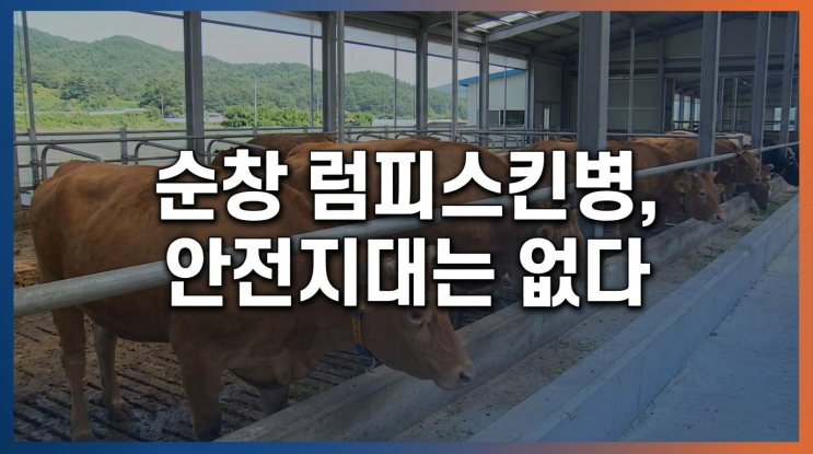 순창 <b>럼피스킨</b>병, 안전지대는 없다