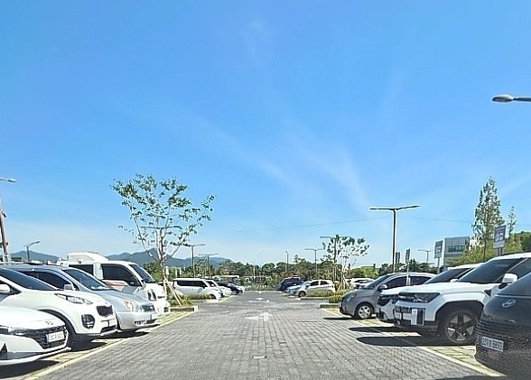 황금어장 사진 6
