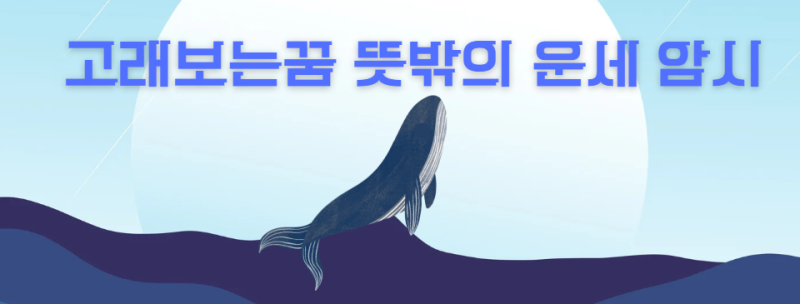 고래보는꿈 뜻밖의 운세 암시