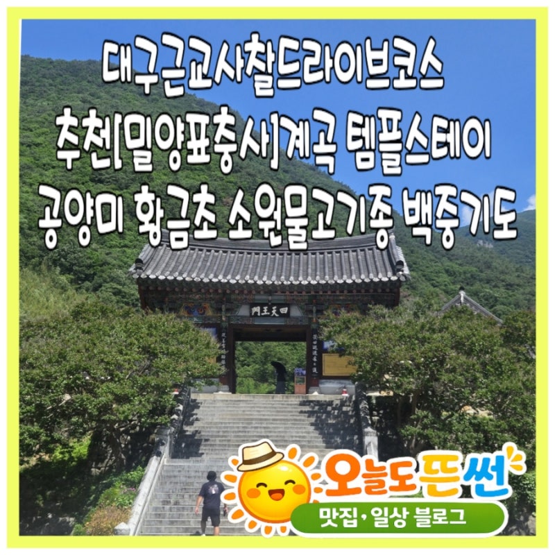 대구근교사찰드라이브데이트코스 추천[밀양표충사]계곡 템플스테이 공양미 황금초 소원물....