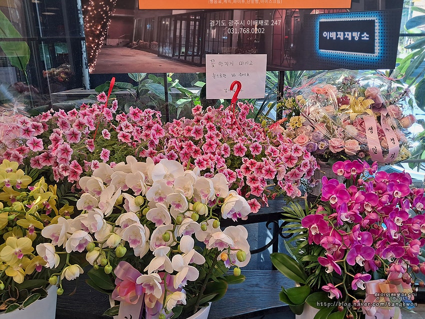 해와달 사진 2