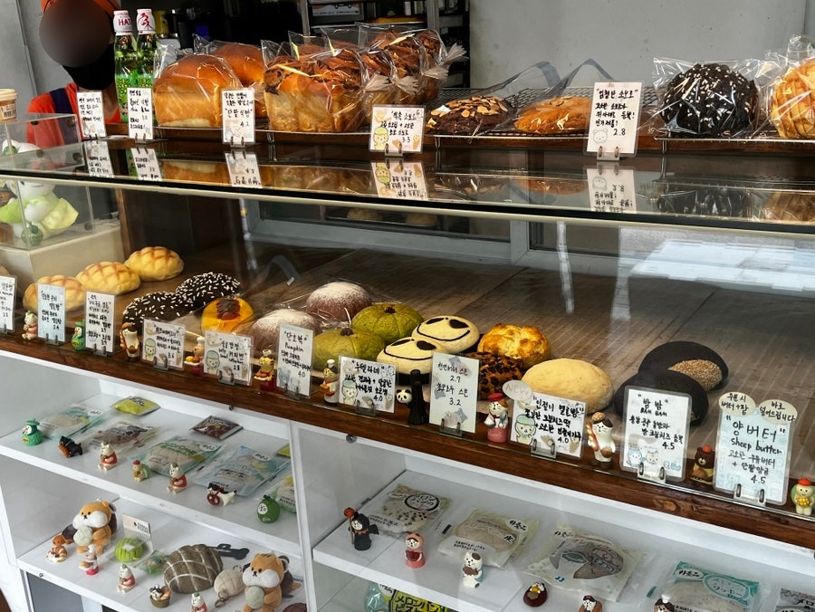 카멜리온 사진 6