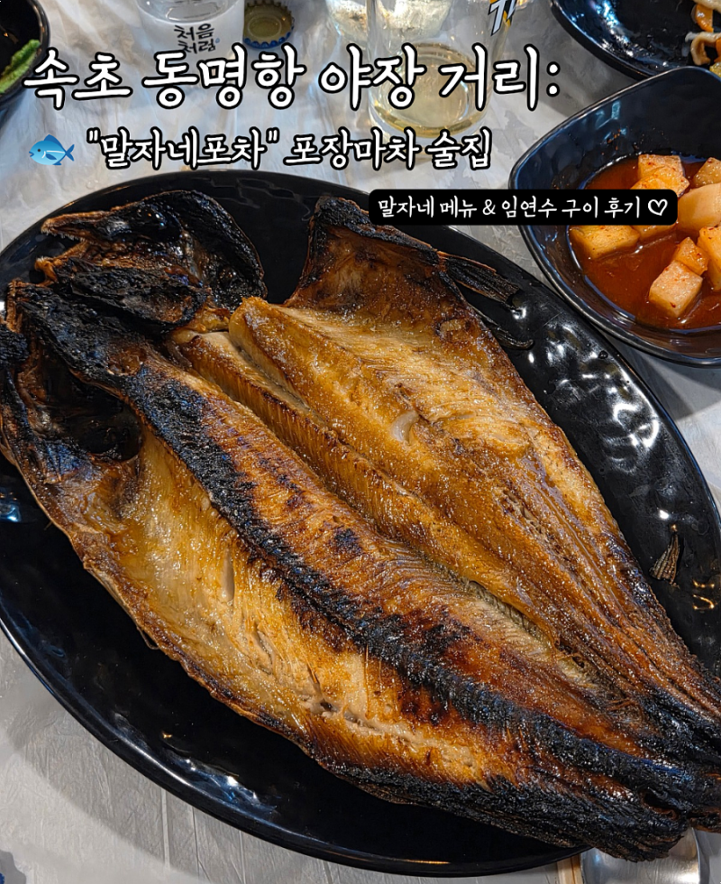 속초 동명항 야장 거리 포장마차 술집: 말자네포차 메뉴·생선구이 후기