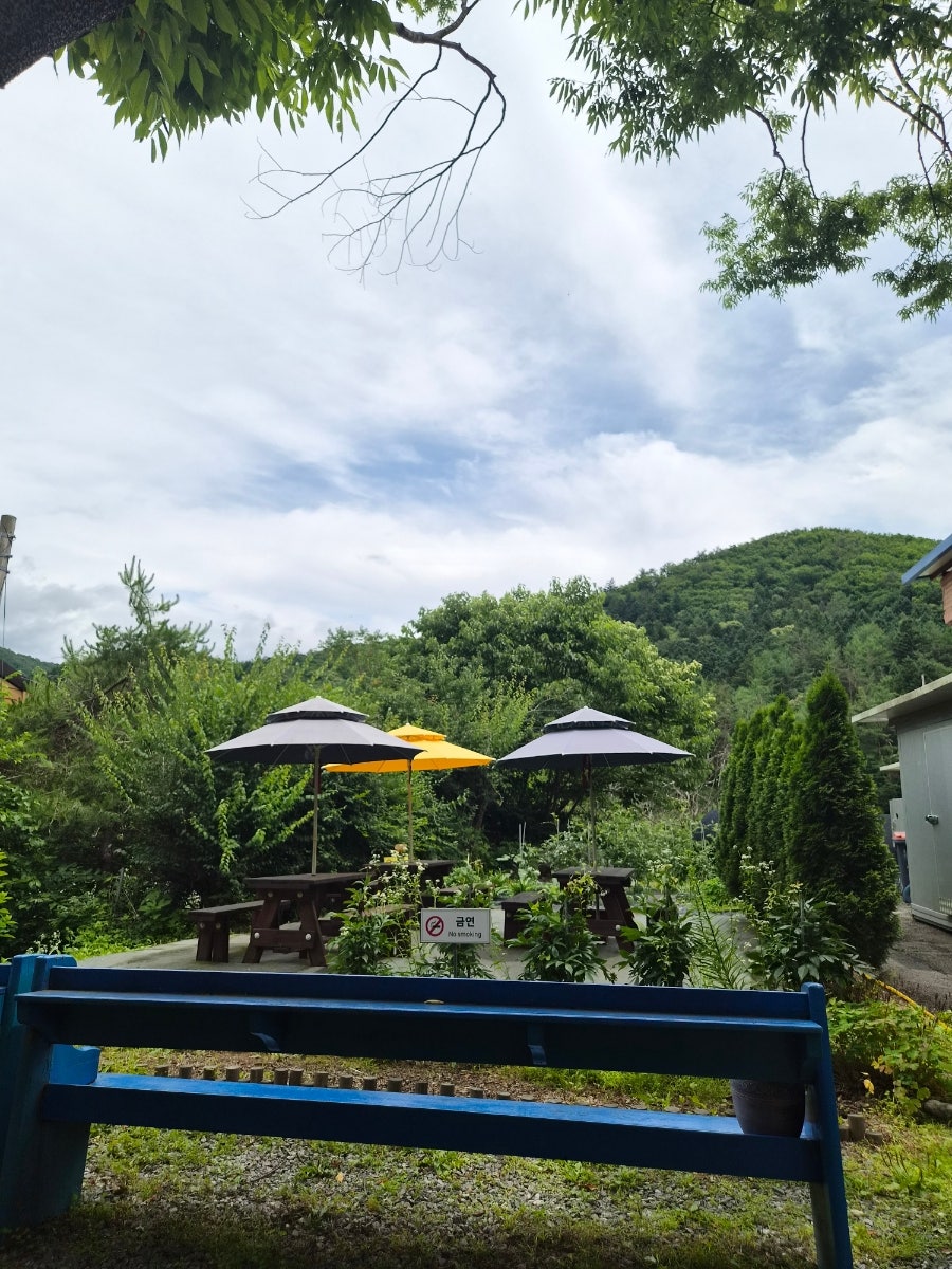 메밀로43 사진 3