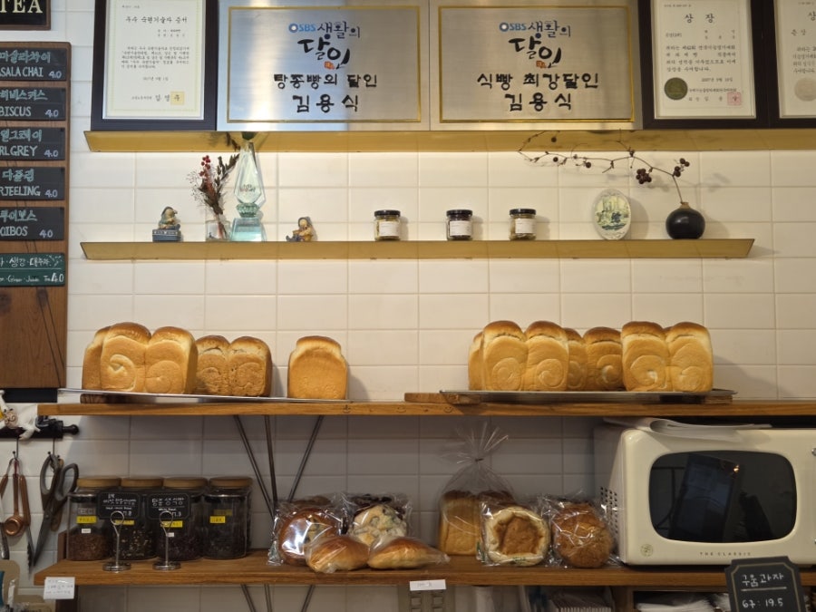 빵나무 사진 4