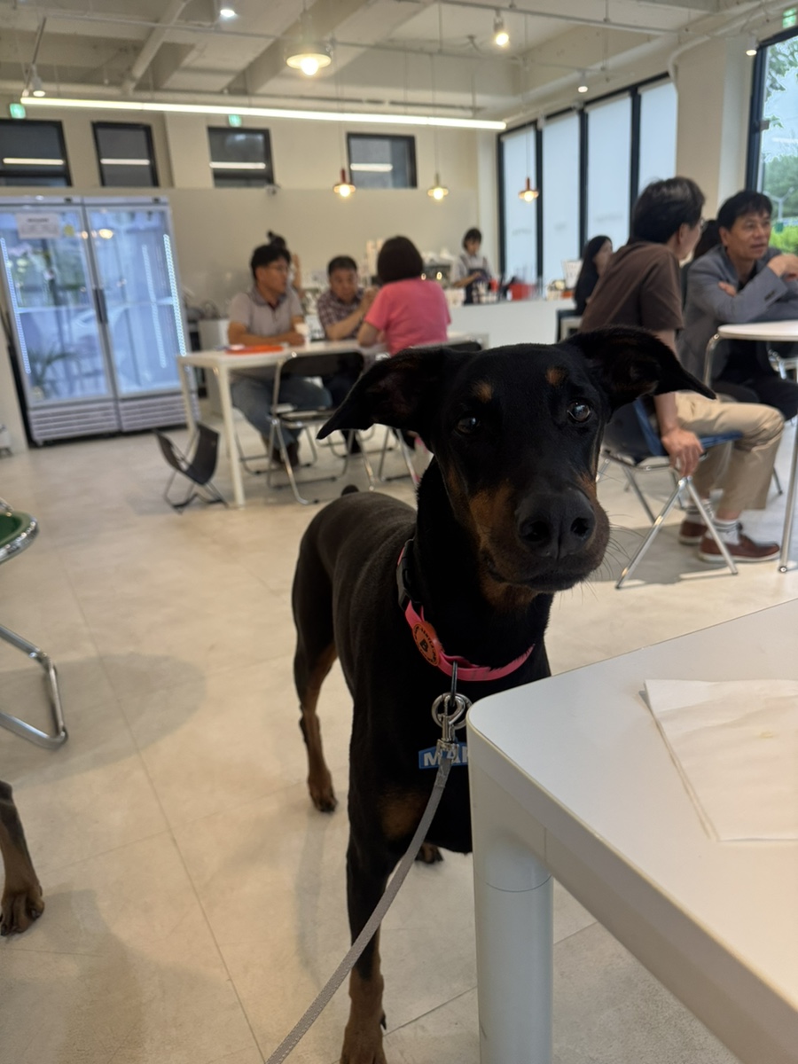 헥세커피 사진 1
