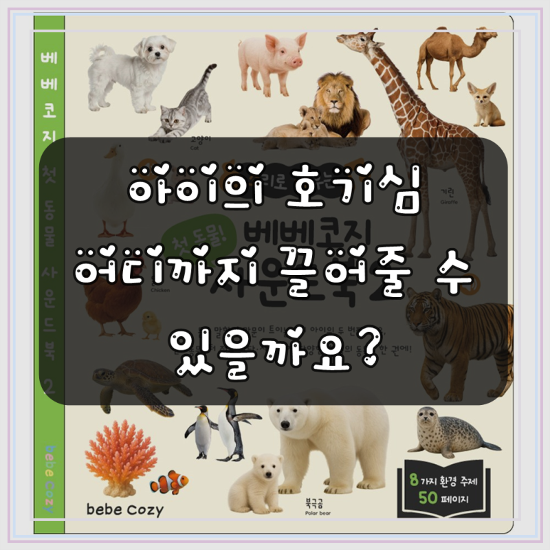 블로그 후기 사진
