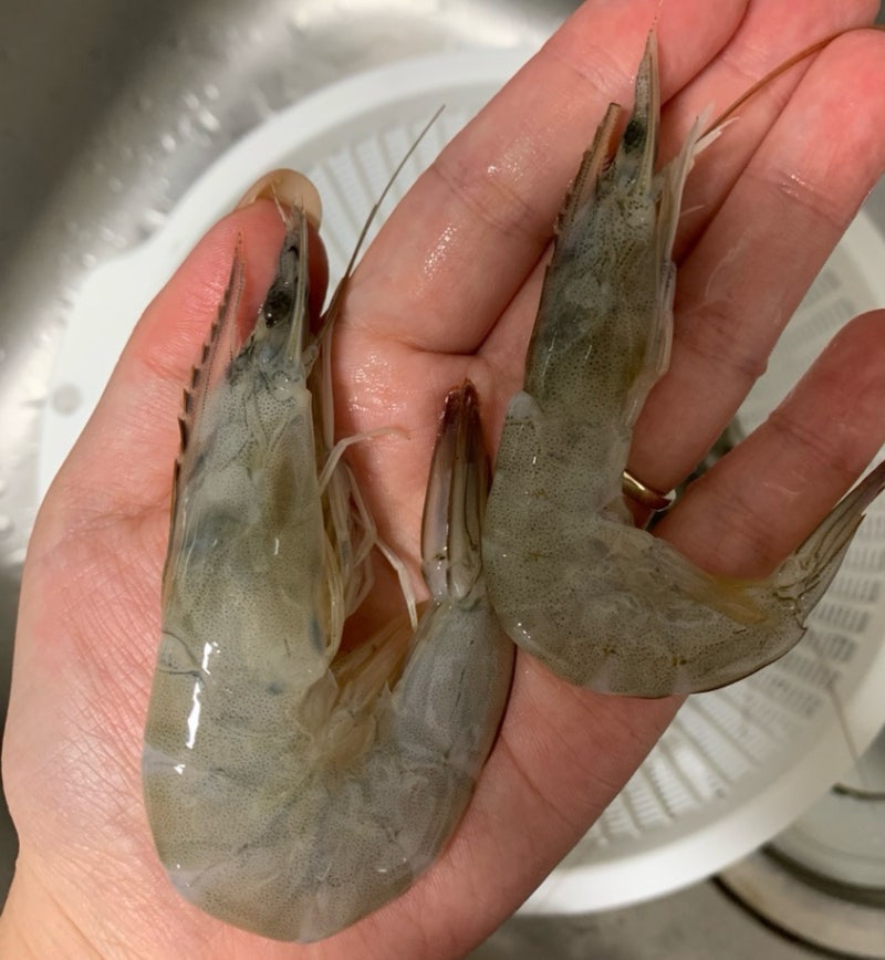 통수산 생새우회 내돈내산 배송부터 맛까지 솔직 리뷰