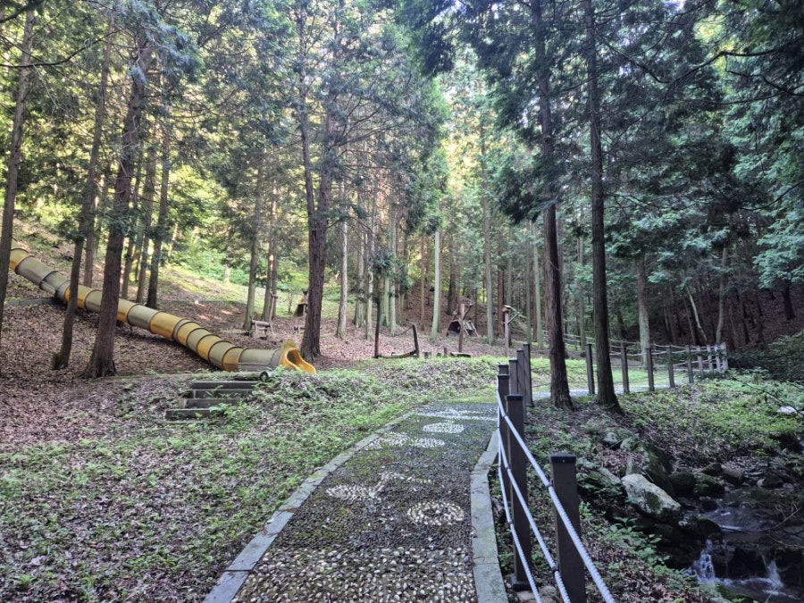 활성산 사진 4