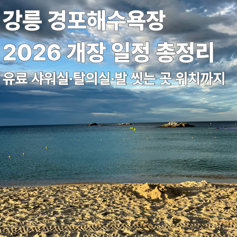 2026 강릉 경포해수욕장 개장ㅣ샤워장 가격, 물품보관함, 발 씻는 곳 위치, 야간개장 정보 총....
