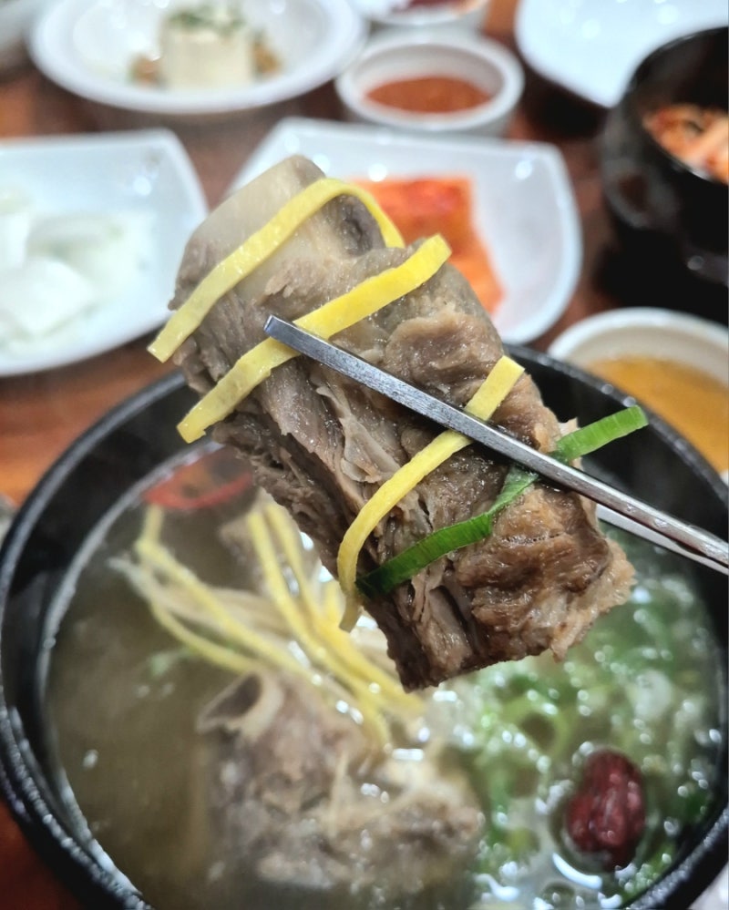 진주 평거동 맛집 초복 대비 보양식추천! 깊고 진한 예담 한방갈비탕 한방삼계탕