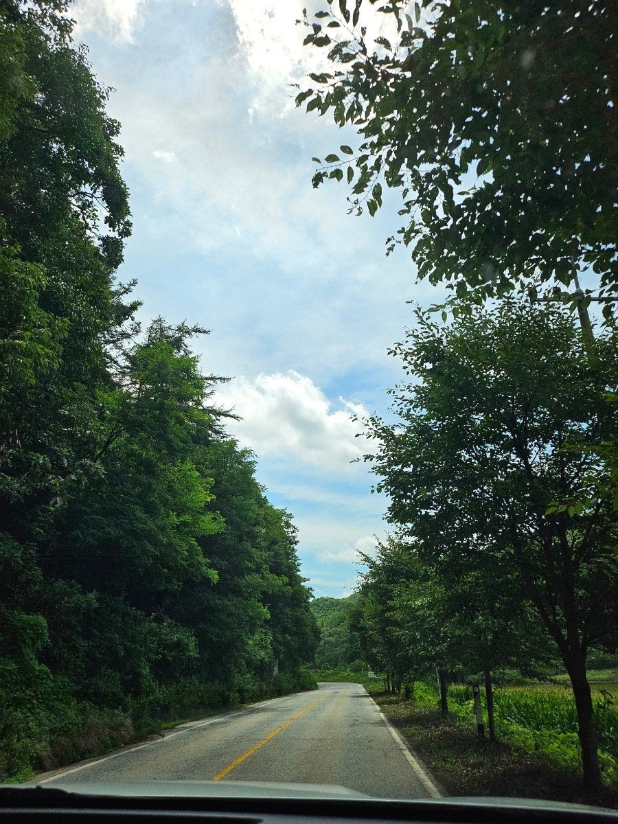 스타밸리캠핑장 사진 3