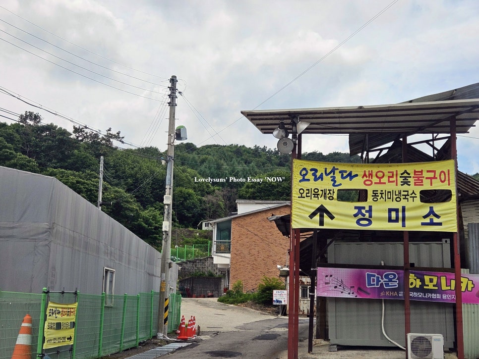 오리날다 사진 3