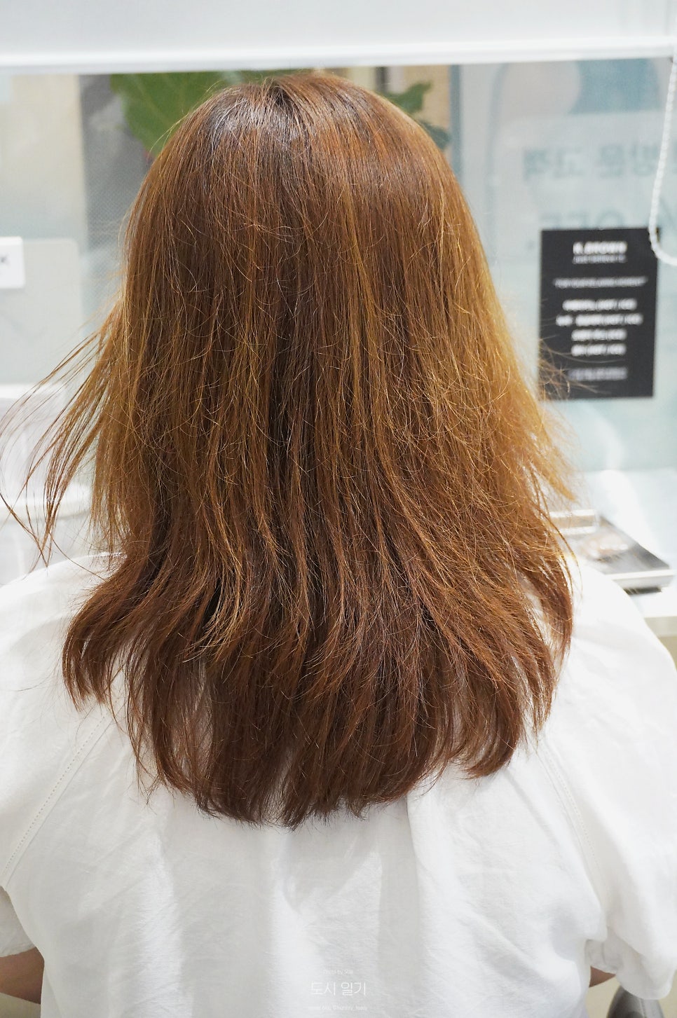 연화산 금천롯데캐슬점 사진 1