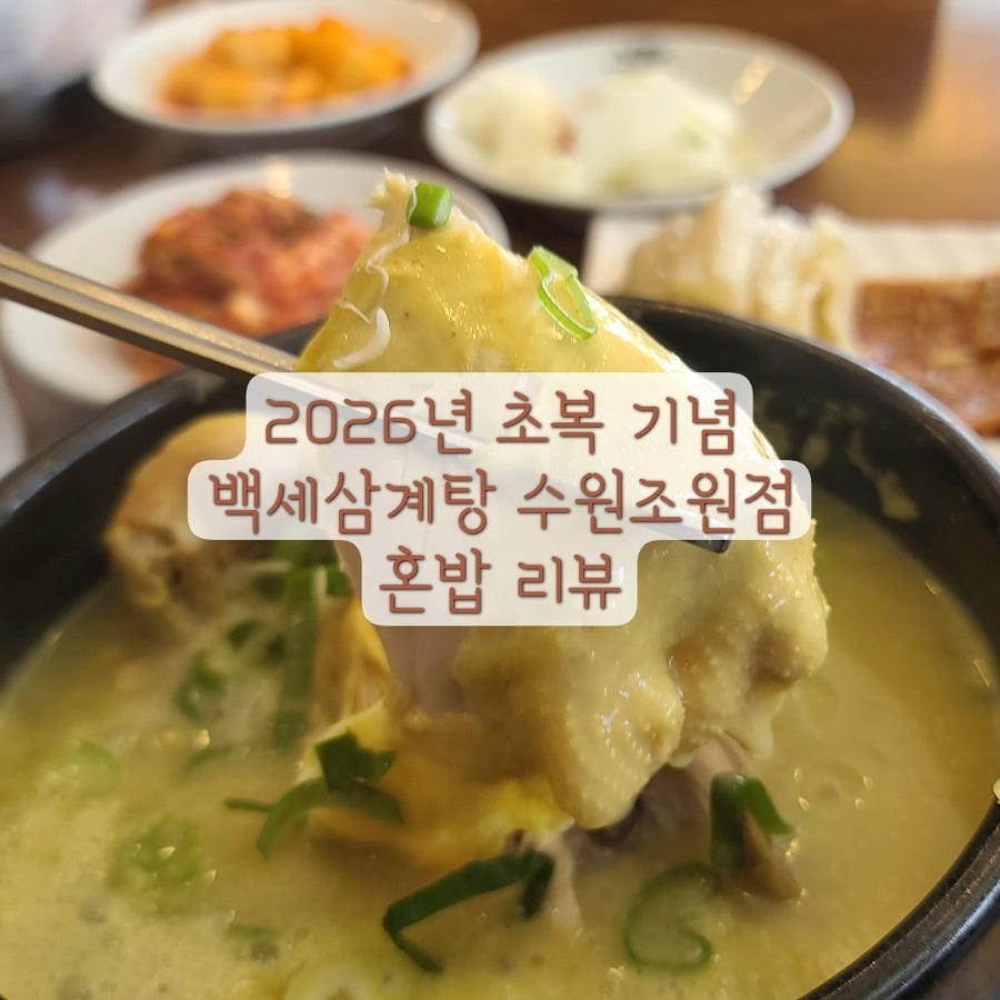 백세삼계탕 수원조원점 사진 1