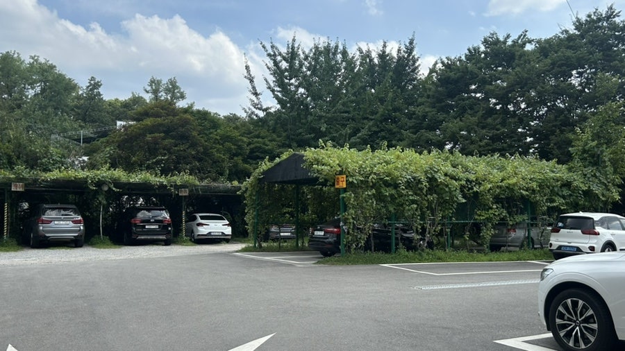 황도바지락칼국수 사진 2