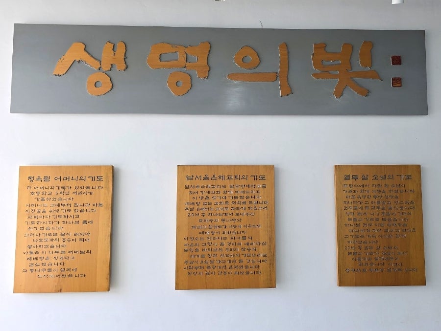 하모니 사진 3