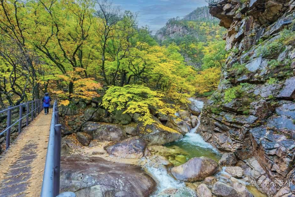 설악횟집 사진 4
