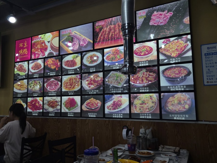 북경오리 사진 5