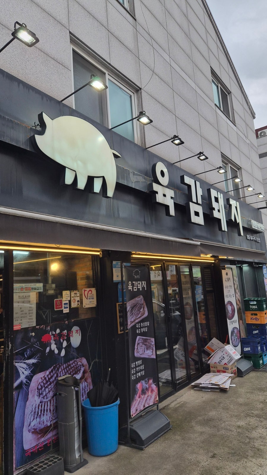 육감돼지 사진 6
