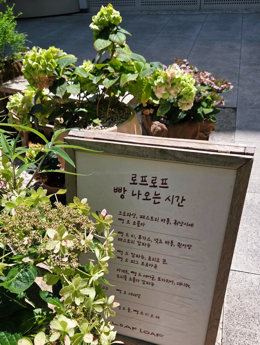 로프로프 사진 6