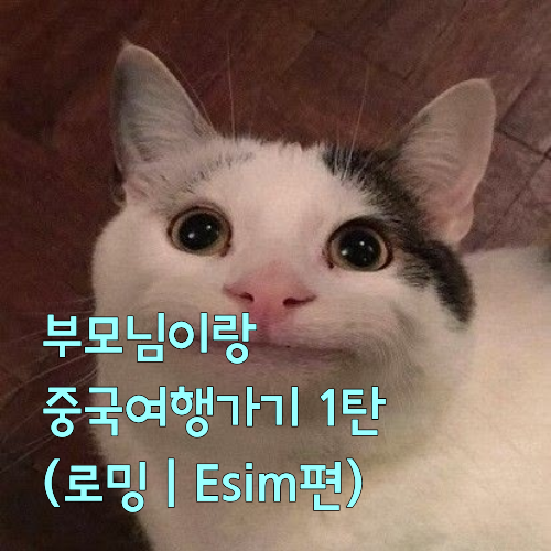 [중국 여행 준비1탄] 부모님과 중국 여행, 로밍? 이심? 유심? 어떤게 좋을까 (2026 최신 비교)
