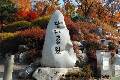 만월중식뷔페 사진 4