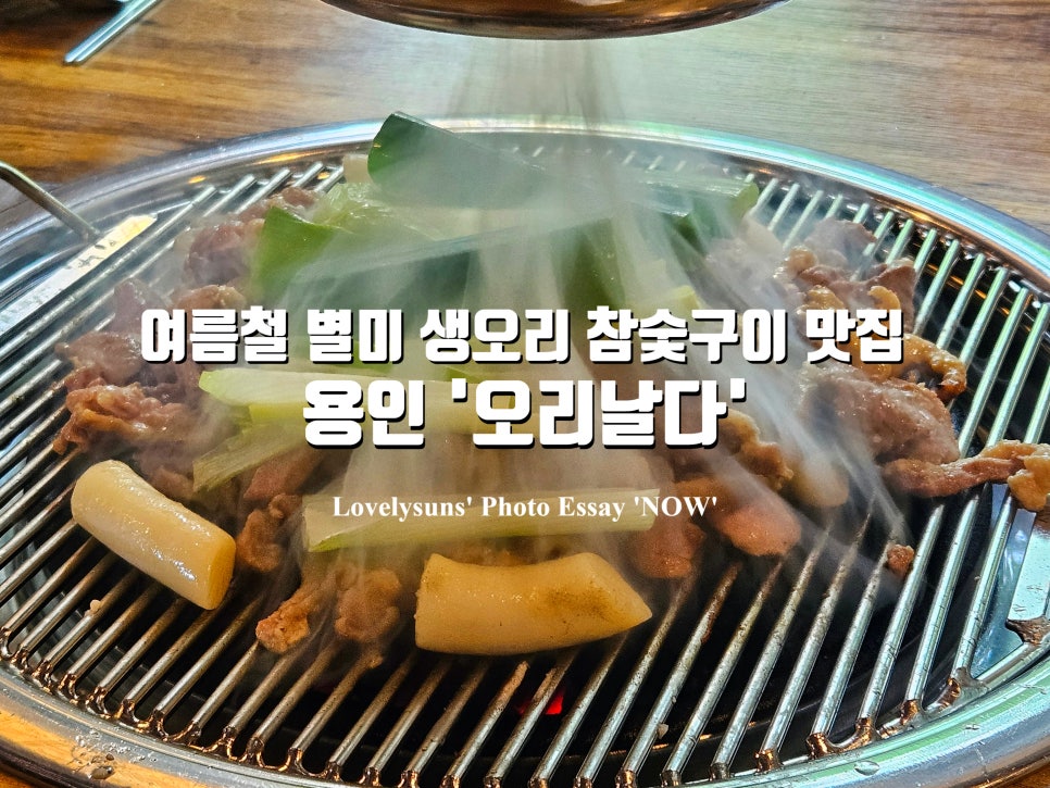 오리날다 사진 1