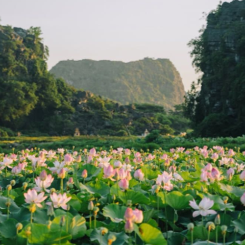 명지계곡 사진 6