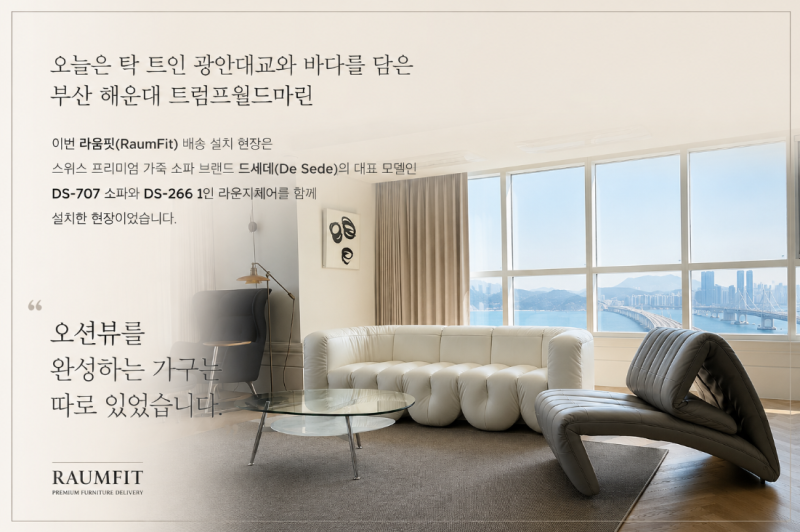 드세데 소파 DS-707 DS-266 부산 해운대 트럼프월드마린 라움핏 배송 설치 후기