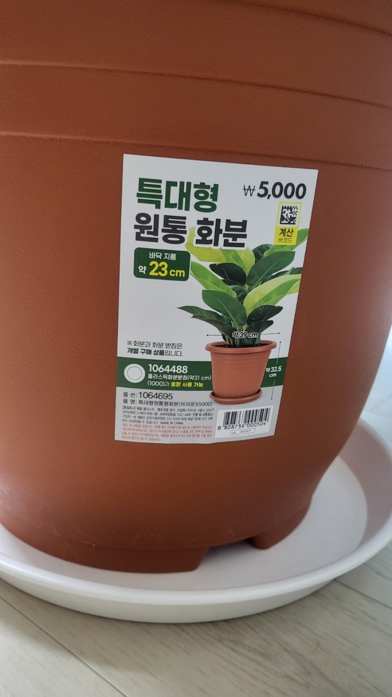 [다이소] 다이소몰에는 없는 다이소 오프라인 특대형 39cm원통 화분, 코코넛 수태봉 90 cm 후기.