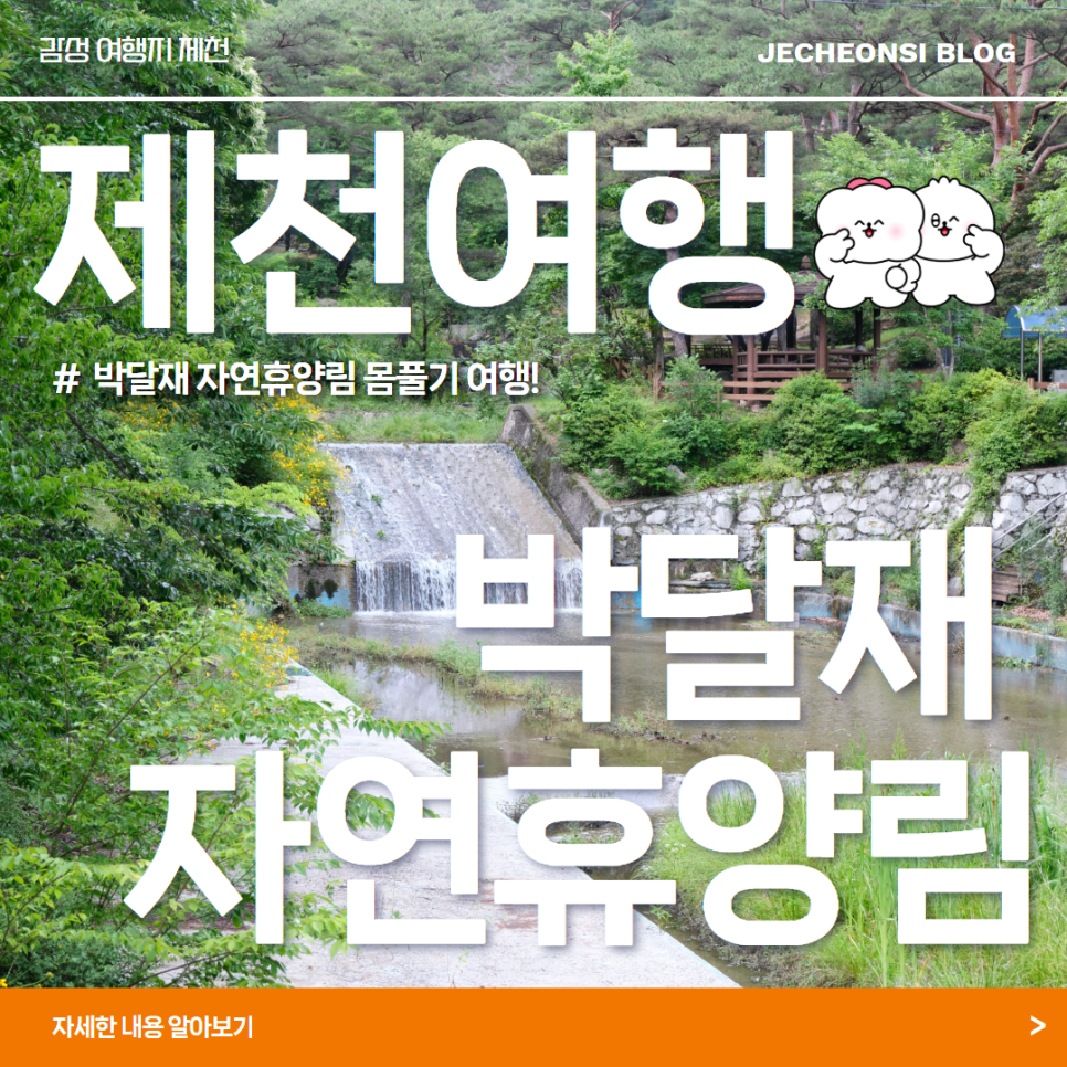 박달재자연휴양림 사진 1