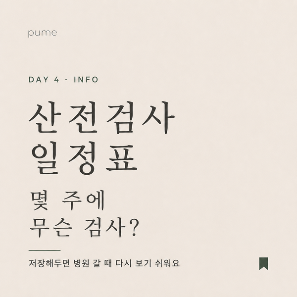 [산모100과] 임신 산전검사 일정표 _몇 주에 어떤 검사를 받을까?